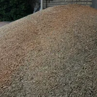 جو فروشی