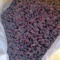 زغال اخته بدون هسته و اعلا|عمدهفروشی|مرند, |دیوار