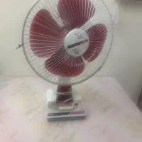 پنکه رویزی