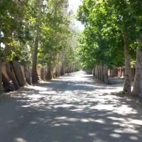 1000متر زمین خیابان جم قابل تفکیک