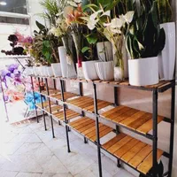 سوزن خور ۵۵۶۷۸ مانکن رگال مبرهن|فروشگاه و مغازه|رشت, استادسرا|دیوار