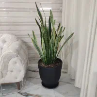 به یک خانوم جهت کار در مزون مجلسی نیازمندیم