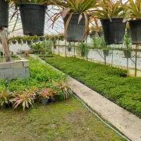 استخدام کارگر برای گلخانه با محل اسکان