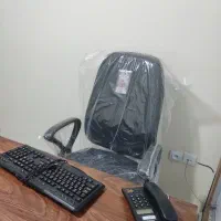 استخدام کارمند خانم