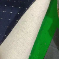 پالازمکت