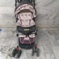 کالسکه دلیجان