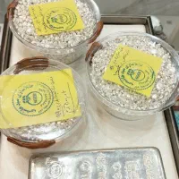فروش نقره ساچمه و شمش مدیر ترک عیار 999.9|جواهرات|شیراز, شاهچراغ|دیوار