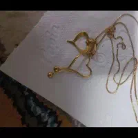 النگو آیینه ای و پلاک فقط80بالا تابلو|جواهرات|کرمان, |دیوار