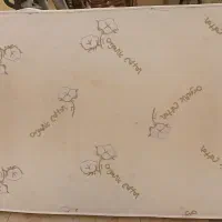 تشک تن اسای