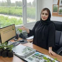 فروش نهال زیتون گلابی خرمالو سنجد سیب هلو گوجه سبز