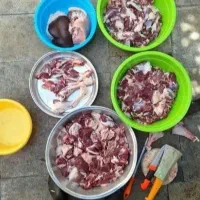 همه وزن گوسفند‌نذری عقیقه با هر توان مالی|حیوانات مزرعه|قم, جمکران|دیوار