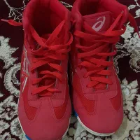 کفش کشتی کاملا نو