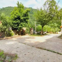 ویلا جنگلی گیل دخت دربست ویو ابدی