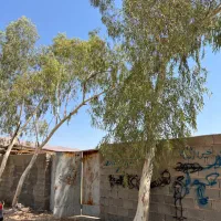 باغ 2200 متری با انشعابات کامل|فروش زمین و ملک کلنگی|شیراز, شهرک گلدشت حافظ‎|دیوار