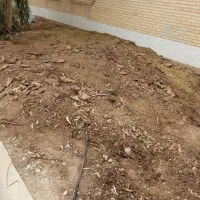 کود گوسفند برای فروش دارم