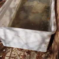 وان ۵۰۰ لیتری