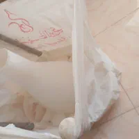 توالت فرنگی