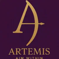 تیم موزیک آرتمیس ( دیجی خانم به همراه نوازنده)