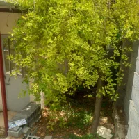 باغچه۷۴۰متری دردماوندجابان|فروش زمین و ملک کلنگی|تهران, افسریه شمالی|دیوار