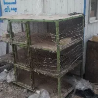 قفس پرنده بزرگ