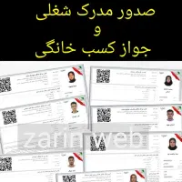 صدور مدرک شغلی/جواز کسب خانگی/ چک دیجیتال