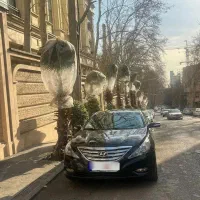 اجاره و رنت سوناتا yf با کیلومتر ازاد