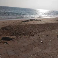 جا به جایی معلمی