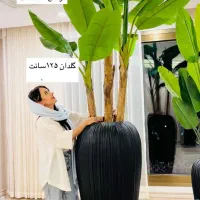 درختچه ده قسطه|گل مصنوعی|خرم‌آباد, |دیوار