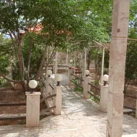 همخانه همخونه خونه مشترکی