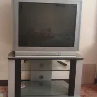 تلویزیون
