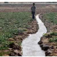 1000-متر-زمین-کشاورزی