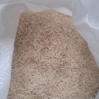 برنج طارم فجر مازندران|خوردنی و آشامیدنی|کرج, جهانشهر|دیوار