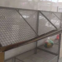 تخت|تخت و سرویس خواب|ایذه, |دیوار