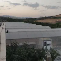 سرایداری و کارگری در گلخانه