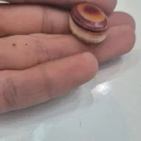 سنگ سلیمانی سه پوست|جواهرات|شادگان, |دیوار