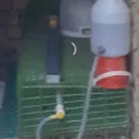 قفس بلدرچین