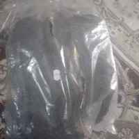 دو عدد پوتین