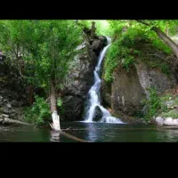 طبیعت گردی