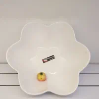 ظروف کادویی ویژه روز زن|ظروف سرو و پذیرایی|جهرم, |دیوار