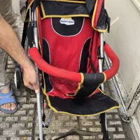 کالاسکه عصایی