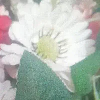 اجاره سوییت شهر جدید سهند