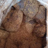 گداکو درجه یک صادراتی