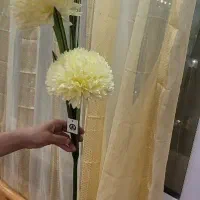 سه عدد شاخه گل بزرگ