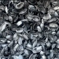 کربن پسته درجه یک/عمده