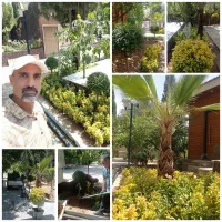 باغبانی آبیاری قطره ای کاشت هرس سم پاشی دفع آفات|خدمات باغبانی و درختکاری|شیراز, شهرک گلستان|دیوار