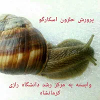 حلزون اسکارگو دانشگاه رازی و ملزومات