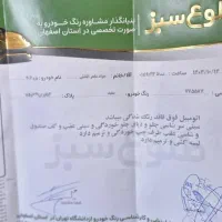 ۲۰۶ اس دی خانگی|خودرو سواری و وانت|اصفهان, دشتستان|دیوار