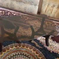 جلومبلی وعسلی|مبلمان خانگی و میز عسلی|فولادشهر, B1|دیوار