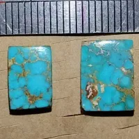 فیروزه نیشابوری