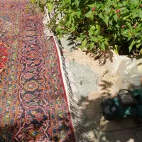 فرش دستباف کارکرده|فرش|شیراز, زرهی|دیوار